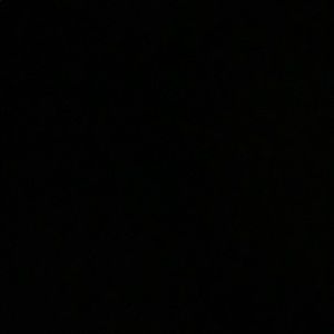 Meet your Posher, Bella